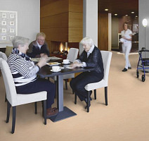 Forbo Marmoleum Decibel on Order 386135 Arabian pearl фото 2 | FLOORDEALER